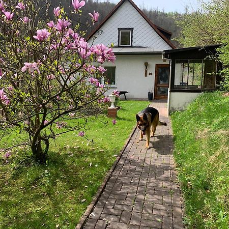 Ferienhaus Andrea Am Bodetal Treseburg Esterno foto