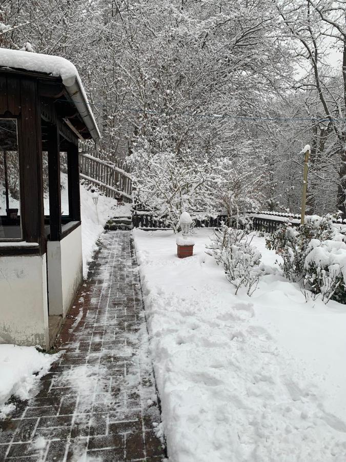 Ferienhaus Andrea Am Bodetal Treseburg Esterno foto